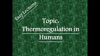 Thermoregulation in Humans (Physiological thermoregulation)