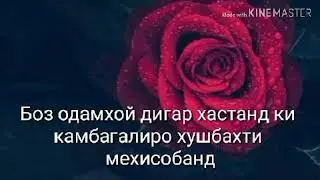Зидагии бо пулу мол