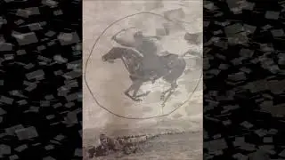 Denis Lovreta - Čerge (Zlatko Pejaković cover)