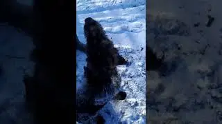 охота на зайца 2020 г.