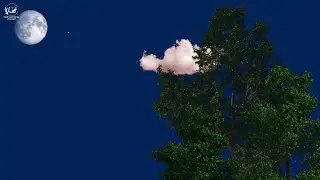you're at your secret place [dark academia playlist]