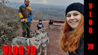|  VLOG #70