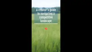 A creator's guide to navigating a competitive landscape