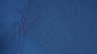 Заплаклевала по новой стену.