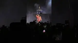 Miss the concert already ♿︎ #billieeilish #happierthanever