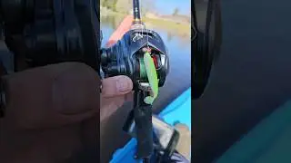 Keitech Easy Shiner Slays on BFS 