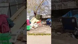 Опять ковыряются в помойке и вижу это регулярно,хотя живу в центре Твери,подписывайтесь,будет много.