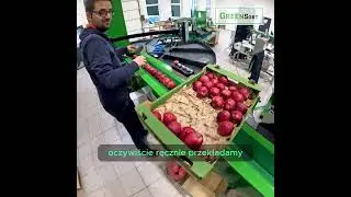 Stół pakerski Green Sort