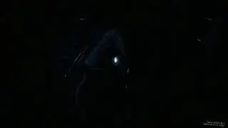 GTFO Fun times