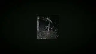 Dead air UST - Fever