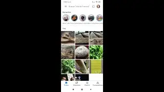 Trucos para buscar fotos (o vídeos) utilizando la IA 🧠 de Google 