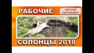 Проверка солонцов, весна 2018