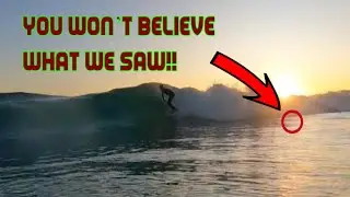 Sunset Surf at Scarborough beach, you won't believe what we saw!!! 🦈🏄‍♂️🤙