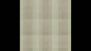 the smallest youtube video ever made up untill this point [2022]