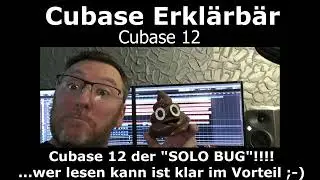 Cubase 12 - den 