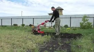 MOTOR CULTIVATER SALUTE 100 MILLING THE SOIL.