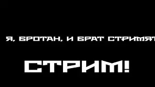 ДОЛГОЖДАННЫЙ СТРИМ! Я, бротан, и брат СТРИМЯТ!!