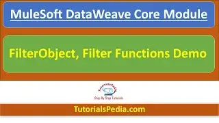 MuleSoft FilterObject Vs Filter Function | MuleSoft DataWeave Filter | Mule DataWeave FilterObject