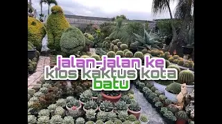 SALAH SATU KIOS KAKTUS DI KOTA BATU TERLENGKAP