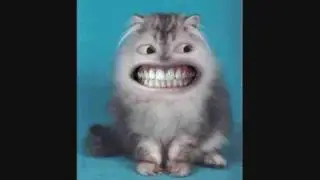 Try not to laugh or grin here