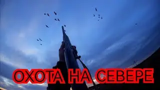#ОСЕННЯЯ ОХОТА НА ГУСЯ#ОХОТА НА СЕВЕРЕ#