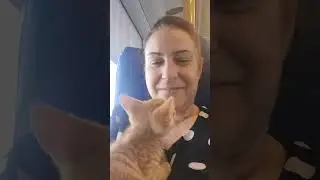Viaggio in treno con Rufus