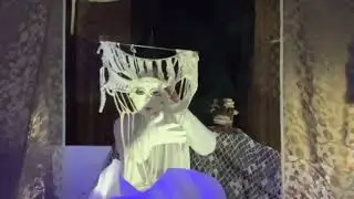 Excerpts from ‘Fungus Sutra’ a performance with puppetry and object theatre