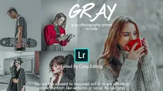 Best Lightroom Mobile Preset - Free Lightroom Mobile preset - Gray tone Preset