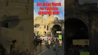 San Diego March 4 Palestine Shuts Down Cabrillo Bridge #ceasefire