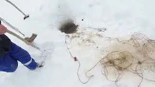 Проверяем   сеть   на   таёжной   речке.