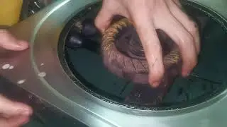 cara repair dapur gas tak hidup dan api merah