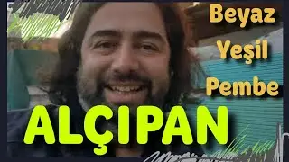 Beyaz Alçıpan, Yeşil Alçıpan ve Pembe Alçıpan Özelikleri Nelerdir? 