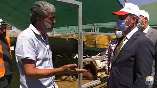 KURBAN SATIŞ VE KESİM MERKEZİ