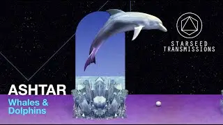 Starseed Transmissions / Whales and Dolphins