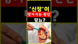신장이 망가지는 원인은? 망가진 신장 살리는 음식. #shorts #건강 #음식 #망가진신장 #신장