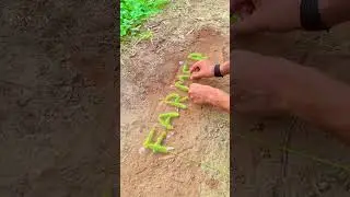 FARMER #farmer #farminglife #vilagelifestyle #kisan #desi #DhakadFarming #Dhakad_Farming_786 #viral