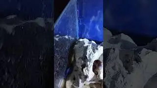 👀А где Иполлит 🤪😜😁