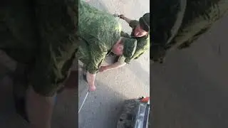 Армия не  только строивые но и можно свое сто открыть