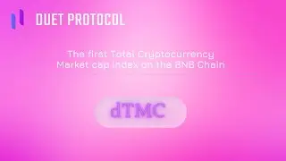 The first total cryptocurrency market cap index on BNB Chain on the Duet Protocol