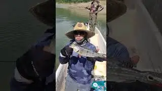 Pesca de tucunare en Hidrosogamoso o Topocoro @espaciodepesca2253
