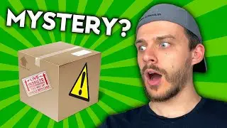 I Got Sent a Mystery Box of Ants. This is What Happened.