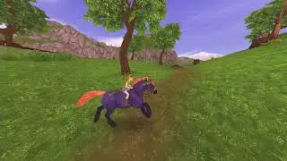 some star stable pictures I took