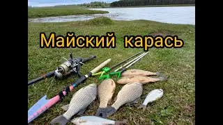 Осторожные поклёвки карася на фидер в мае.