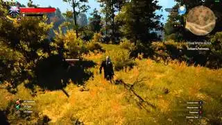 Ведьмак 3 (1.05) ультра GTX 780Ti