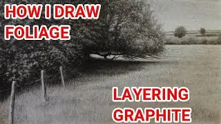 How I Draw Trees & Foliage, Real Artists Don't Use Reference Photos? + Where Do I Live?