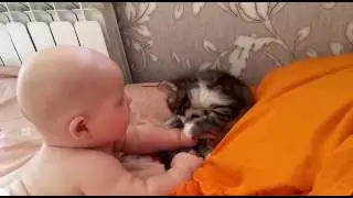 Лучезар играется с Гаврюшей.