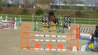 Pebbles van 't Hammelhof training Oostdijkhoeve 2