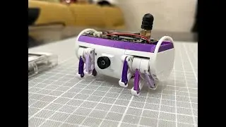 Strider Camera Robot V8