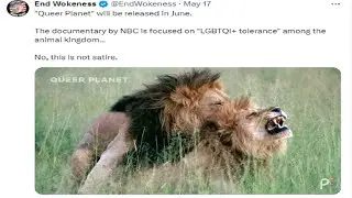 Queer Animals Is A Thing Now