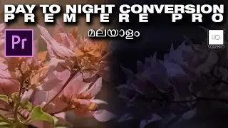 Day to Night effect Using Premiere Pro | Malayalam Tutorial | SQUEMIIO